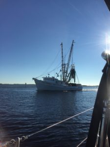 Shrimp Boat Arriving
