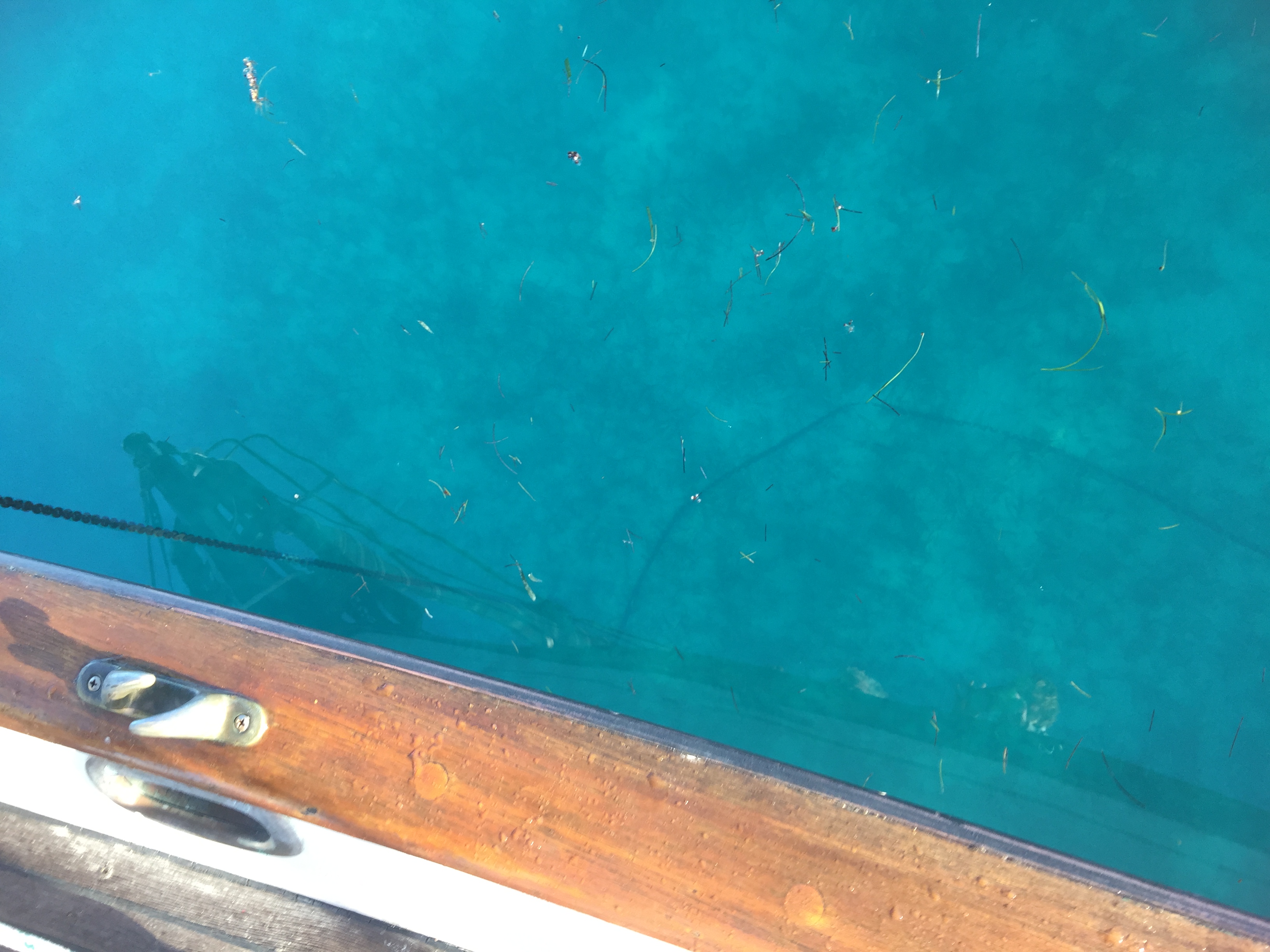 The water is so clear, we can see the anchor chain (black line right under the boat)