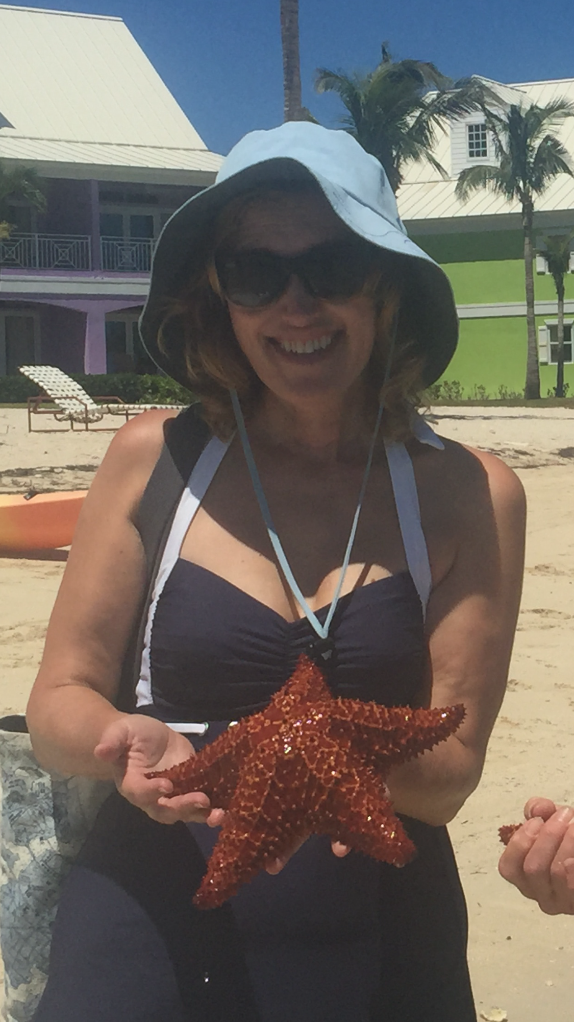 Starfish found at the beach at West End