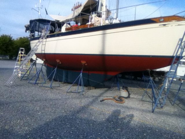 Sophia painted and waxed ready for launch